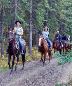 You can have a amazing day by joining the Marmaris horse safari tour.