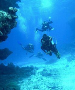 marmaris scuba diving . you will divi at 2 points . 30 minutes.