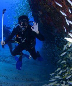 During the Marmaris scuba diving tour, you will be able to see fish.