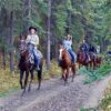 Сафарі-тур по Мармарису проводиться групами.