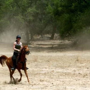 aktiviteler. Marmaris At safari turu