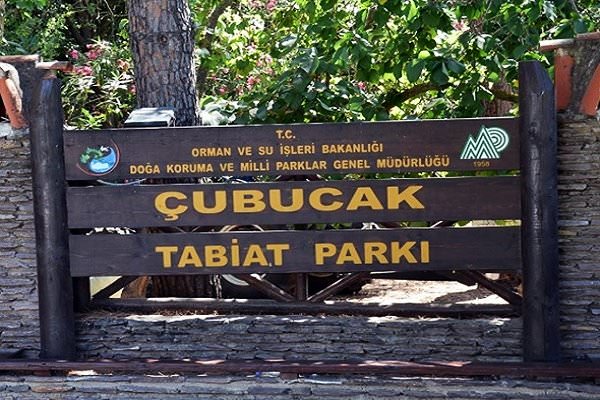 Çubucak kamp alanı